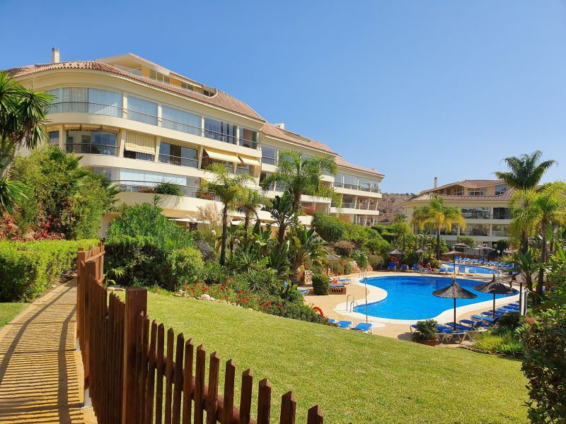 gardens and pool 2